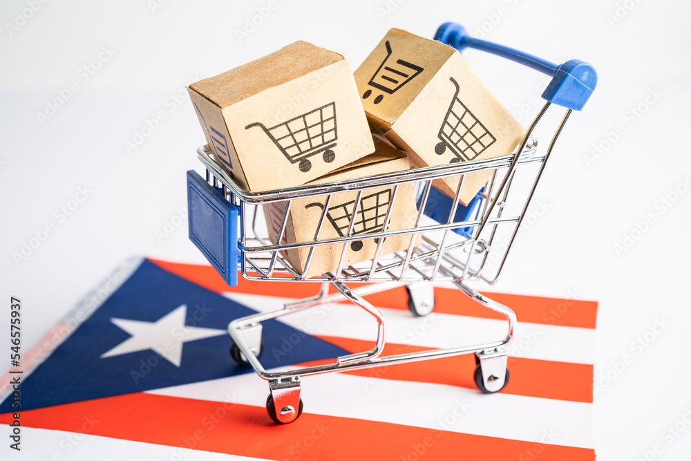 Box with shopping cart logo and Puerto Rico flag, Import Export Shopping online or eCommerce finance delivery service store product shipping, trade, supplier concept.