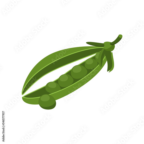 Green peas with collagen vector illustration. Cartoon drawing of collagen source in food, peas on white background. Healthy food, nutrition concept
