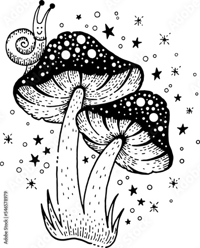 Mushroom vector. Magic illustration of fly agaric. Celestial forest outline drawing. Mushroom toadstool clipart graphic. Mystical black outline psychedelic tattoo. Doodle boho mystic amanita with slug