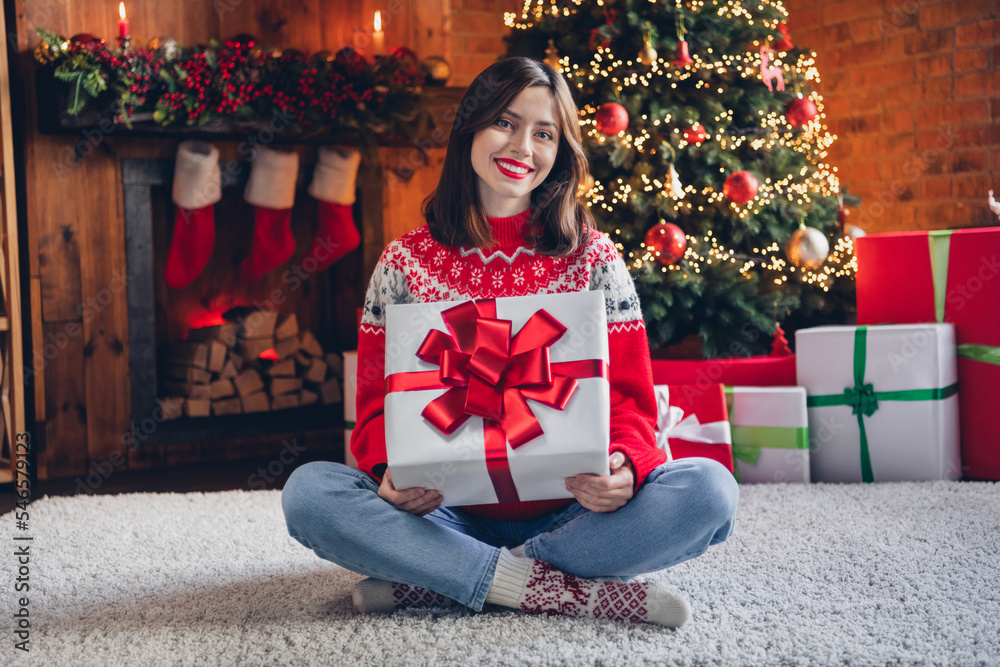 Fototapeta premium Photo of positive cheerful lady sit fluffy carpet hold santa claus gift enjoy cozy evening magic time season weekend room house indoors