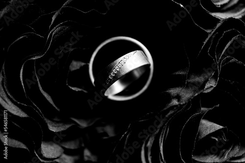 Ringe auf Rosen photo