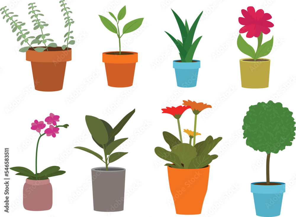 Obraz premium Set of Plant and flower in plant pot
