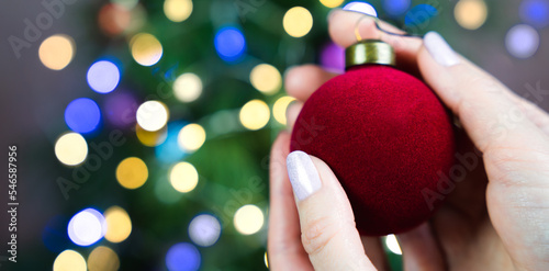 A woman's hands hold a Christmas velvet red ball. Christmas tree decoration. Close-up. Banner. Selective focus.