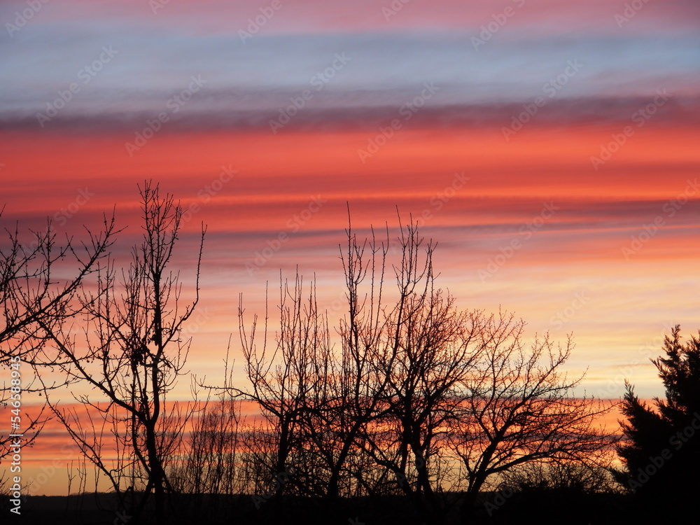 Obraz premium The morning