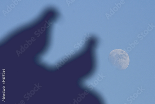 Full moon and two silhouettes of doves. photo