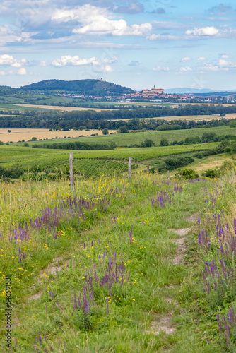 Palava landscape near Dolni Dunajovice, Southern Moravia, Czech Republic photo