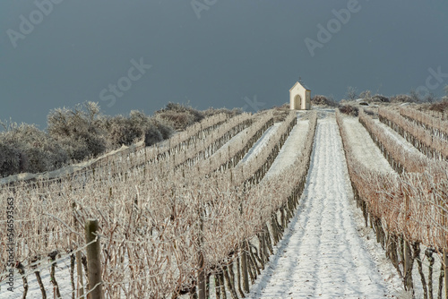 Calvary near Hnanice, Znojmo region, Southern Moravia, Czech Republic photo