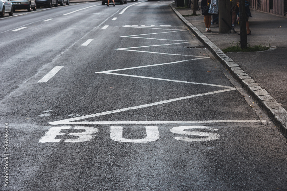 Bus road mark on black asphalt with a zig zag line to mark a bus