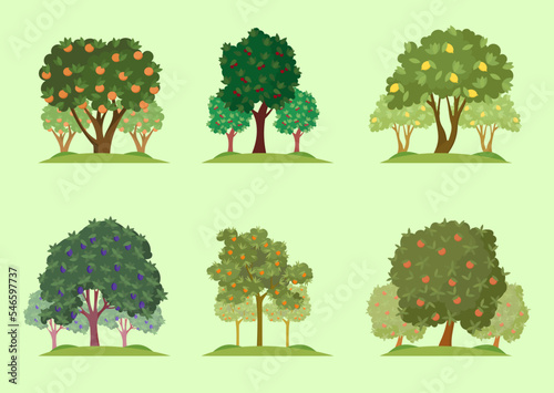 Trees with ripe fruit set. Vector illustrations of cultivated village garden in autumn. Cartoon apple plum cherry orange lemon apricot harvest isolated on green. Agriculture, growth, nature concept
