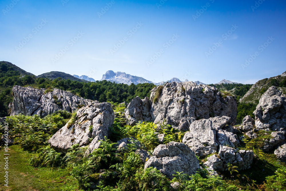 Mountain landscape in Picos de Europa, Asturias, Spain