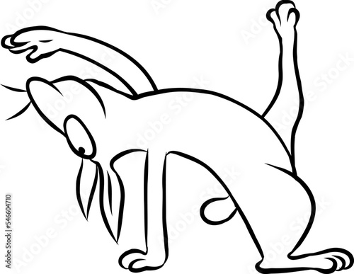 Niedlicher kleiner Hase streckt sich beim Yoga