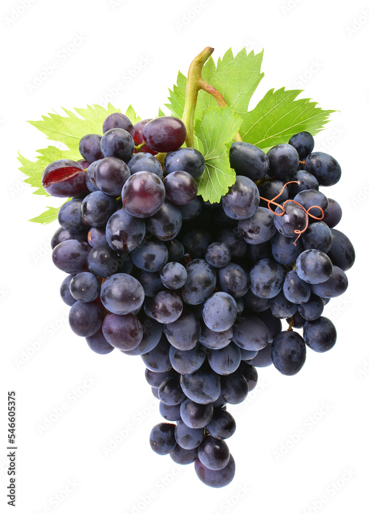 Fototapeta premium Grapes isolated on white