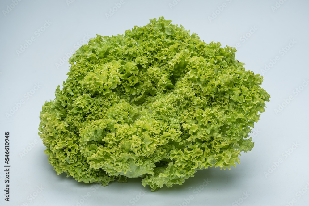 Iceberg lettuce isolated on white background. Iceberg lettuce isolated on white background.
