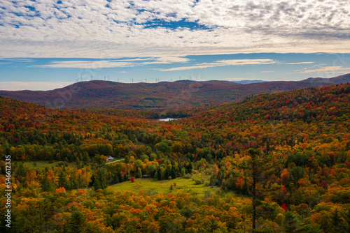 Fototapeta Naklejka Na Ścianę i Meble -  Vermont in Autumn