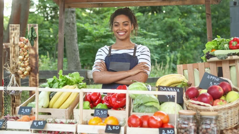 Camera moving to pretty young smiling African American woman farmer in apron selling farm food at market outdoor. Beautiful positive happy female sell organic fresh vegetables and fruits Camera moving to pretty young smiling African American woman farmer in apron selling farm food at market outdoor. Beautiful positive happy female sell organic fresh vegetables and fruits