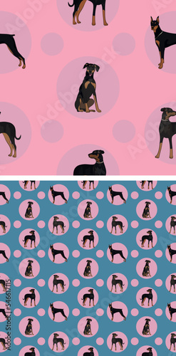 Seamless Doberman dog pattern, holiday texture. Square format. Pink, blue packaging, textile, fabric, decoration, wrapping paper.Trendy hand-drawn dogs wallpaper. Holiday background with circles.