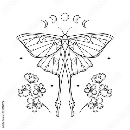Celestial grainy line geometric luna moth with moon phases and flowers Mystic geometry butterfly with floral arrangement