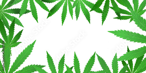 Cannabis leaves on a transparent background in PNG format. Frame made of marijuana leaves. 3D render