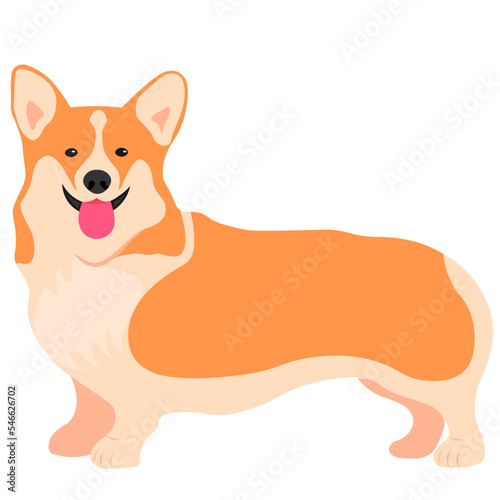Corgi pet dog breed illustration | animal Illustrator file