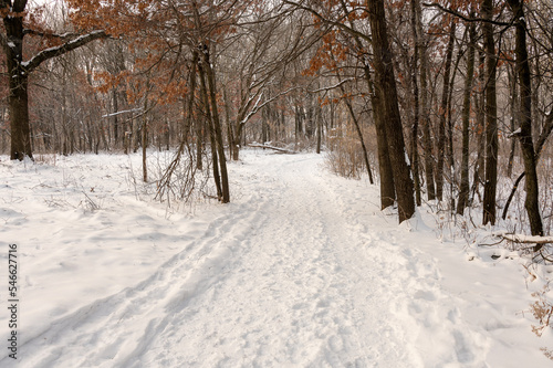 winter hiking trail