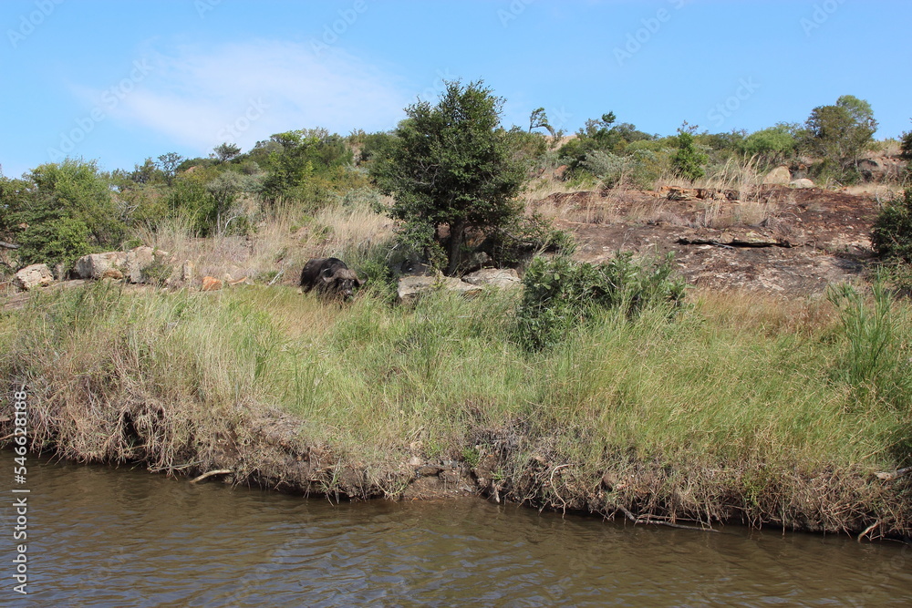 Nhlanganinii River / Nhlanganinii River / Nhlanganinii River / Nhlanganinii River /
