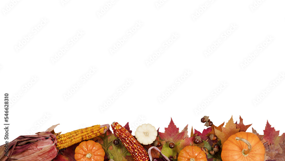 Fototapeta premium Autumn foliage with pumpkins, gourds, corn and acorns for Thanksgiving and fall holidays on transparent background