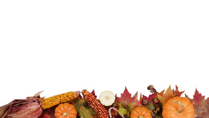 Autumn foliage with pumpkins, gourds, corn and acorns for Thanksgiving and fall holidays on transparent background