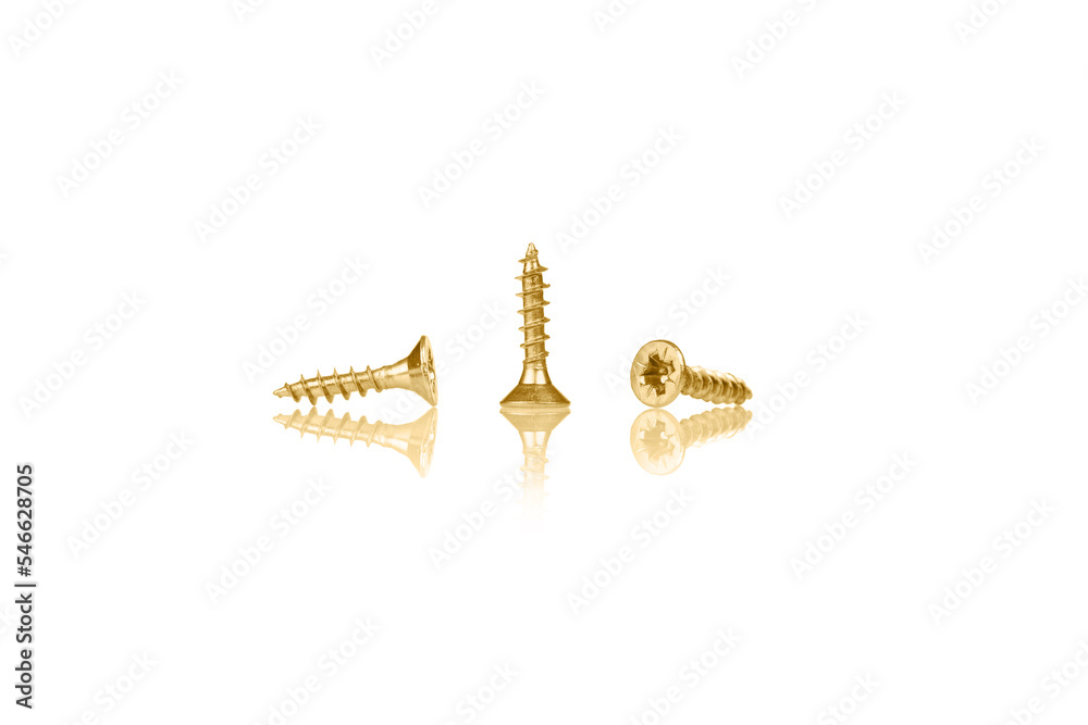 macro screw of golden color on a white background macro screw of golden color on a white background
