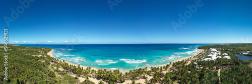 Wild tropical bounty and pristine beach with coconut palm trees and turquoise caribbean sea. travel destination. Aerial view