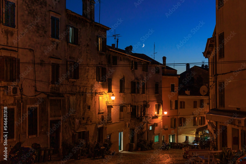 A narrow crescent moon stands in the evening sky above a bush in the town of Rovinj