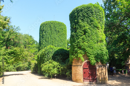 Ivy on the tower in n the dendrological garden of the unique Askania Nova reserve. Kherson region. Ukraine photo