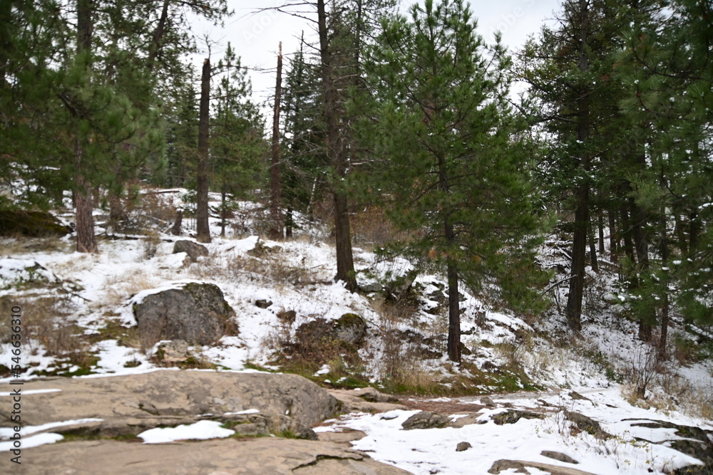 Obraz premium snow covered rocks