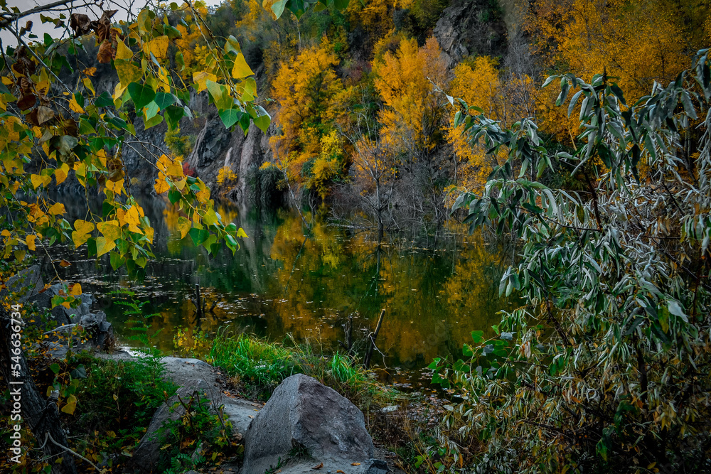 Beautiful autumn landscape. Yellow leaves during autumn season. autumn leaves background.