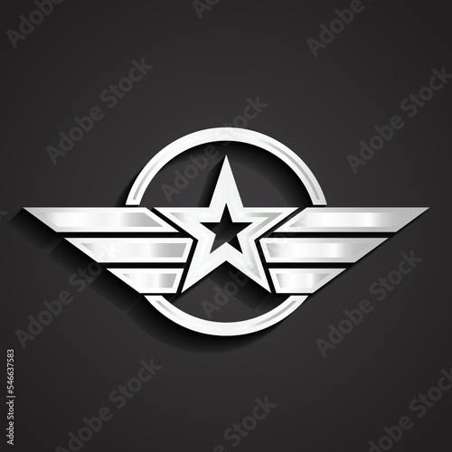 silver military star symbol / vector illustration