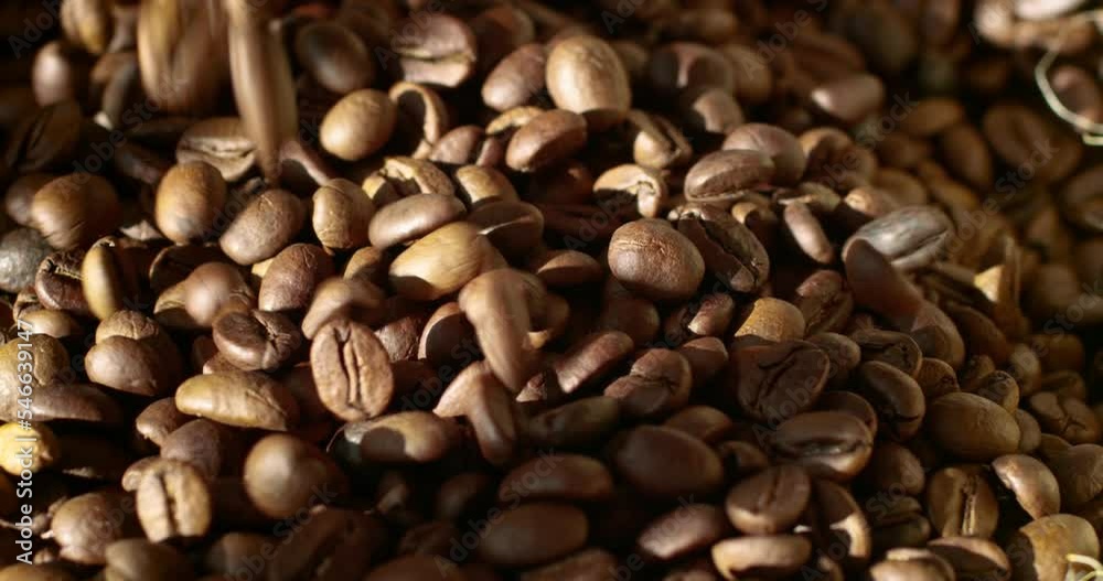 Roasted coffee beans in dark brown color falling. Roasted coffee beans in dark brown color falling.