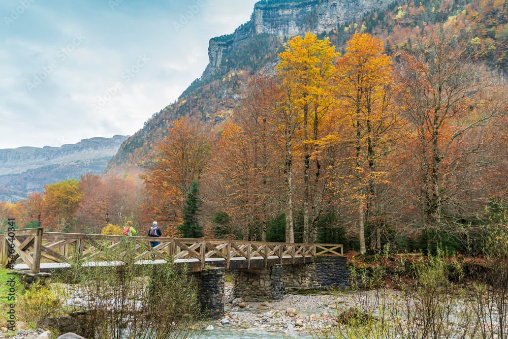 Naklejka premium Spectacular view of the Ordesa Valley with the colors of autumn. Ordesa and Monte Perdido National Park in Huesca, Aragon, Spain