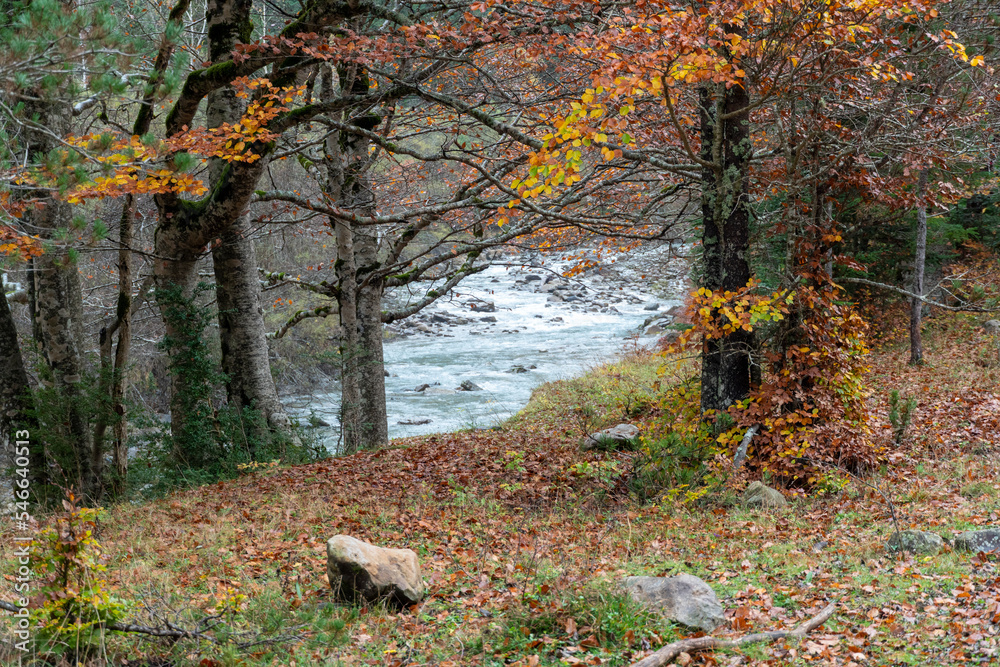 Fototapeta premium Spectacular view of the Ordesa Valley with the colors of autumn. Ordesa and Monte Perdido National Park in Huesca, Aragon, Spain