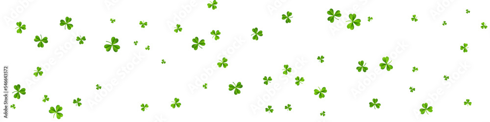 Green Clover Saint Patrick Vector White Panoramic Green Clover Saint Patrick Vector White Panoramic