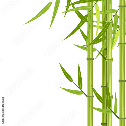 Fototapeta Naklejka Na Ścianę i Meble -  Vector green bamboo stems