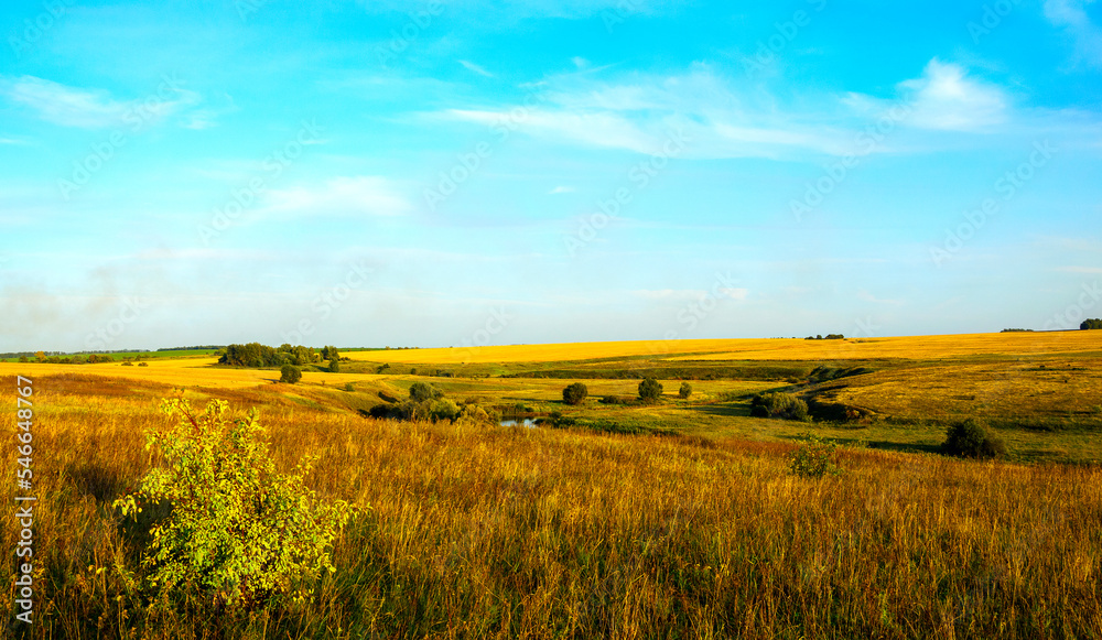 Summer sunset landscape with golden wheat fields