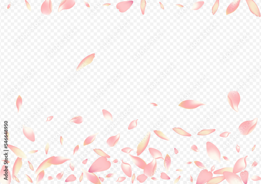 Color Floral Vector Transparent Background.
