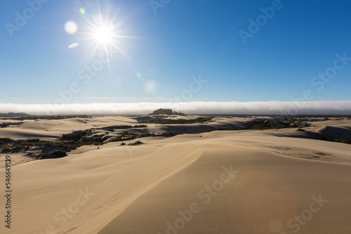 Scenery of sand dunes, Oregon Dunes National Recreation Area, Oregon, USA photo