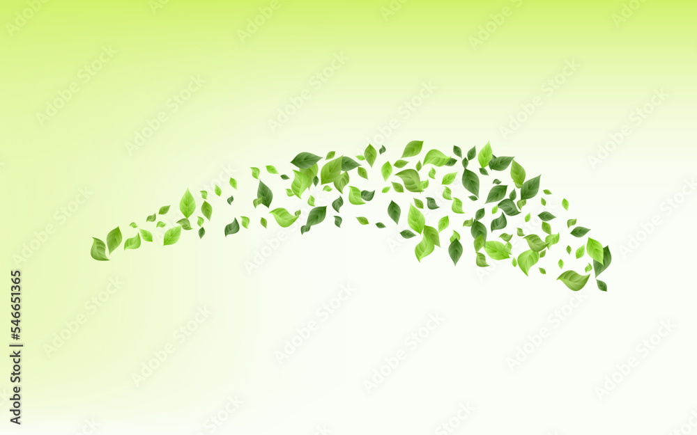Forest Greenery Organic Vector Green Background Forest Greenery Organic Vector Green Background