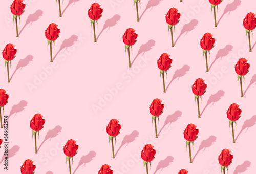 Red flowers on pink pastel background. Creative floral minimal concept. Red rose background. Copy space.