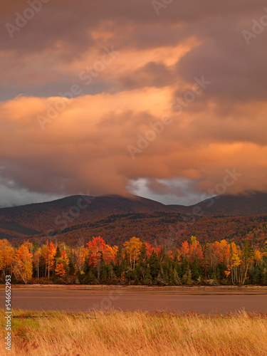 Low-angled, evening sunlight illuminates the bright foliage at the shore of Flagstaff Lake near Stratton, Maine. photo