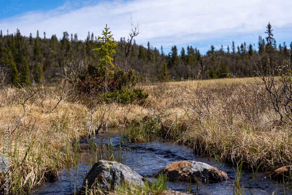 a small mountain stream with blue clear water with large gray stones and dry grass along the edge