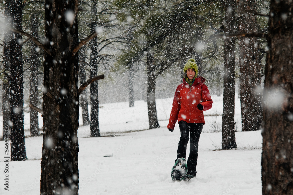 A young woman snowshoes through the woods as snow falls around her, Flagstaff, Arizona. A young woman snowshoes through the woods as snow falls around her, Flagstaff, Arizona.
