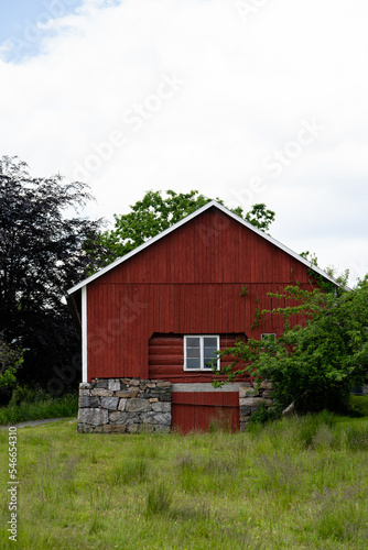 Big red farmer's barn in Norway with gray foundations of big stones, green grass and some green bushes grow around the barn. Above the barn is a sky of bright poppies.