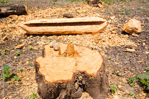 Traditional dug out canoe being constructed in Malawi