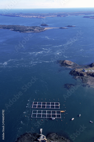 On the border of Canada's New Brunswick and Maine in Passamaquoddy Bay. photo